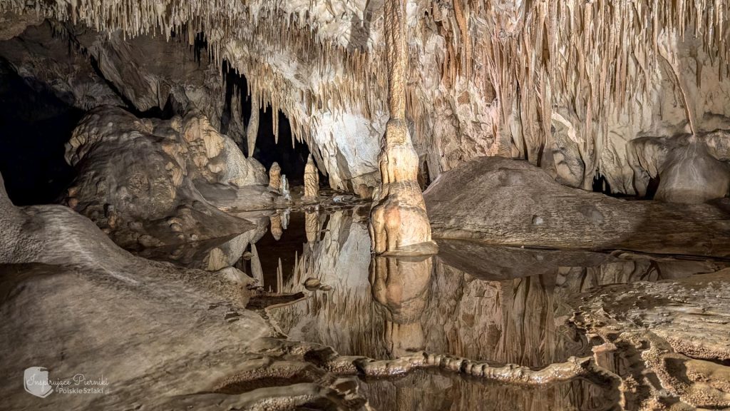 Jaskinia Raj w Chęcinach. Geopark Świętokrzyski i Centrum Neandertalczyka |  PolskieSzlaki.pl